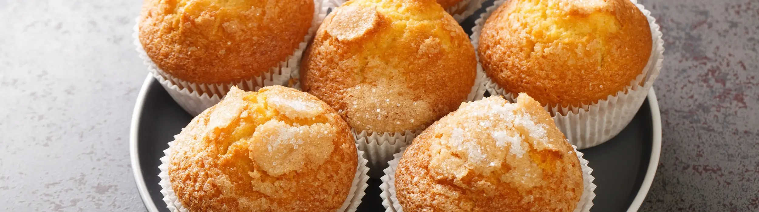 Aga-Zitronenmuffins__FocusFillWyIwLjAwIiwiMC4wMCIsMjUwMCw3MDBd